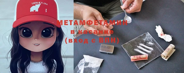 шишки Чердынь