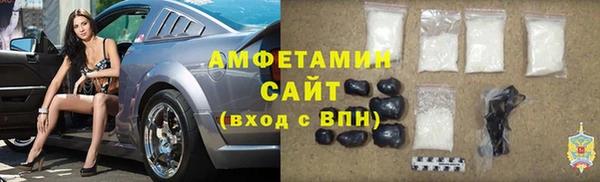 шишки Чердынь