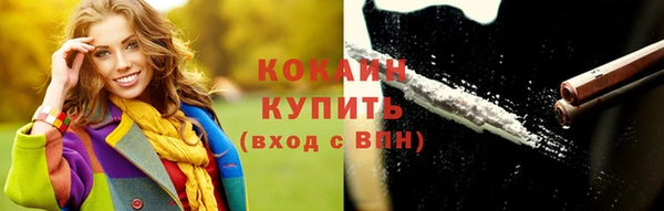 шишки Чердынь