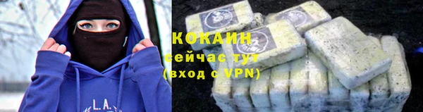 трава Шарыпово