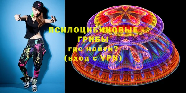 трава Шарыпово