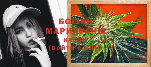 трава Шарыпово