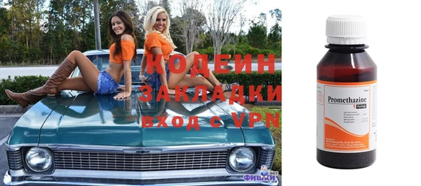 шишки Чердынь