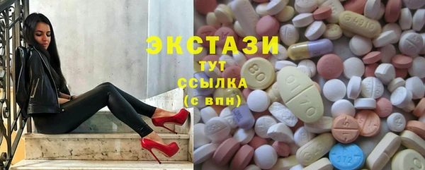 шишки Чердынь