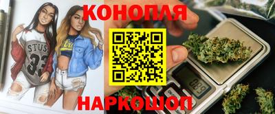 стаф Кингисепп