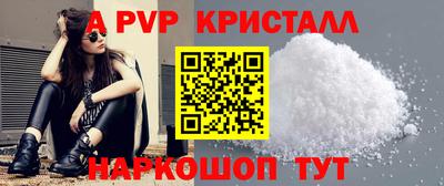 стаф Кингисепп