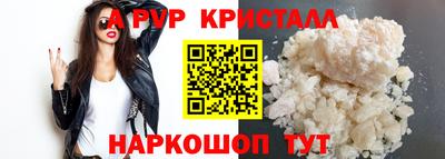 стаф Кингисепп