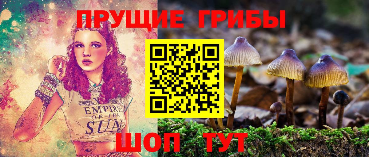 дарнет шоп  Галлюциногенные грибы мухоморы  Вход с VPN  Азов 